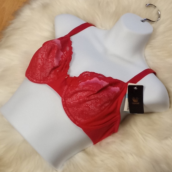 Wacoal Lace & Mesh Pinks Bra - Picture 12 of 16